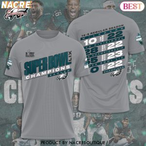 Super Bowl LIX Champions Philadelphia Eagles 14-3 Regular Season 3D T-Shirt